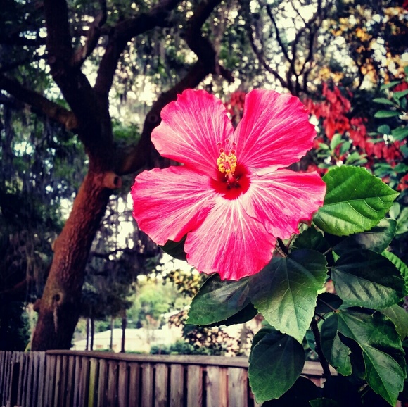 Meet your Posher, Jenny - Picture 1 of 1